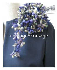 Hydrangea Corsage/corsage*corsage